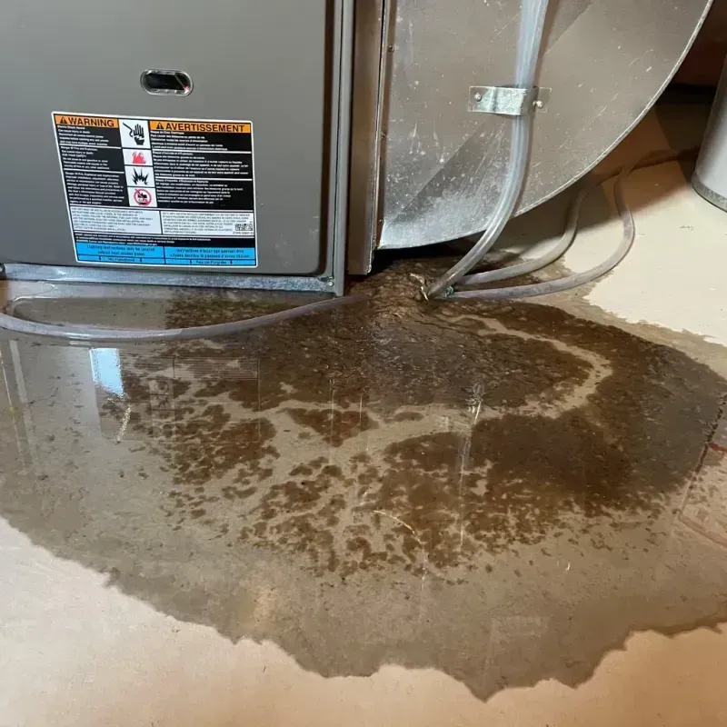 Appliance Leak Cleanup in Lancaster, WI